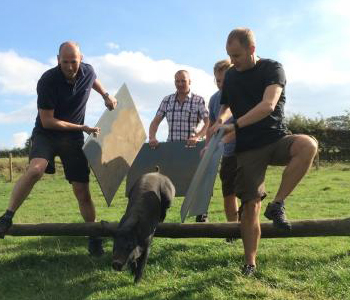 Farm Activities Carlingford
