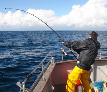 Fishing Carlingford
